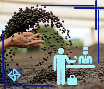 مراحل ترخیص قهوه از گمرک