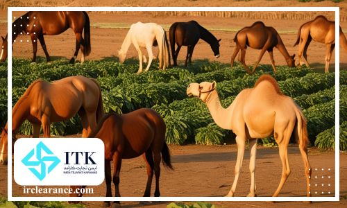 مجوز ترخیص کالا از گمرک برای جهاد کشاورزی 